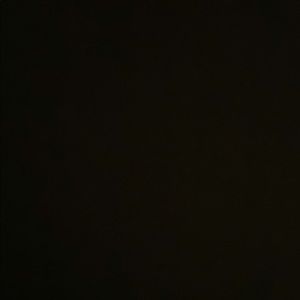 Meet your Posher, Bridget